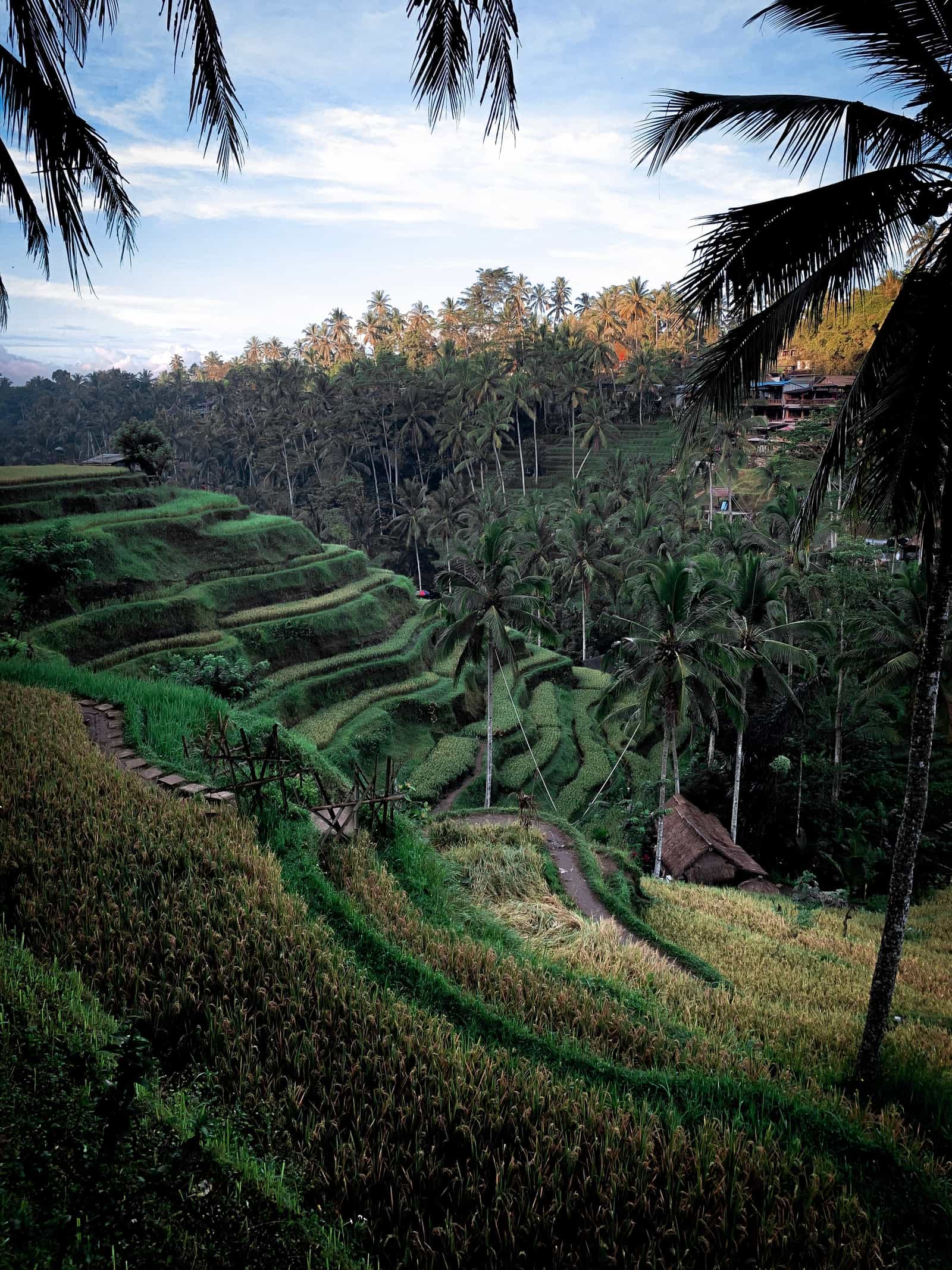 Guía completa para la expatriación en Bali en 2026